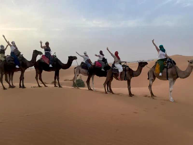 Camelos nas dunas do deserto, no Marrocos