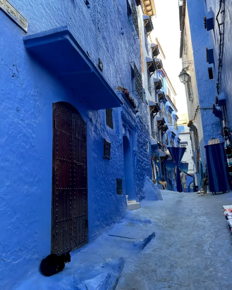 Rua azul de Chefchaouen com um gato, no Marrocos
